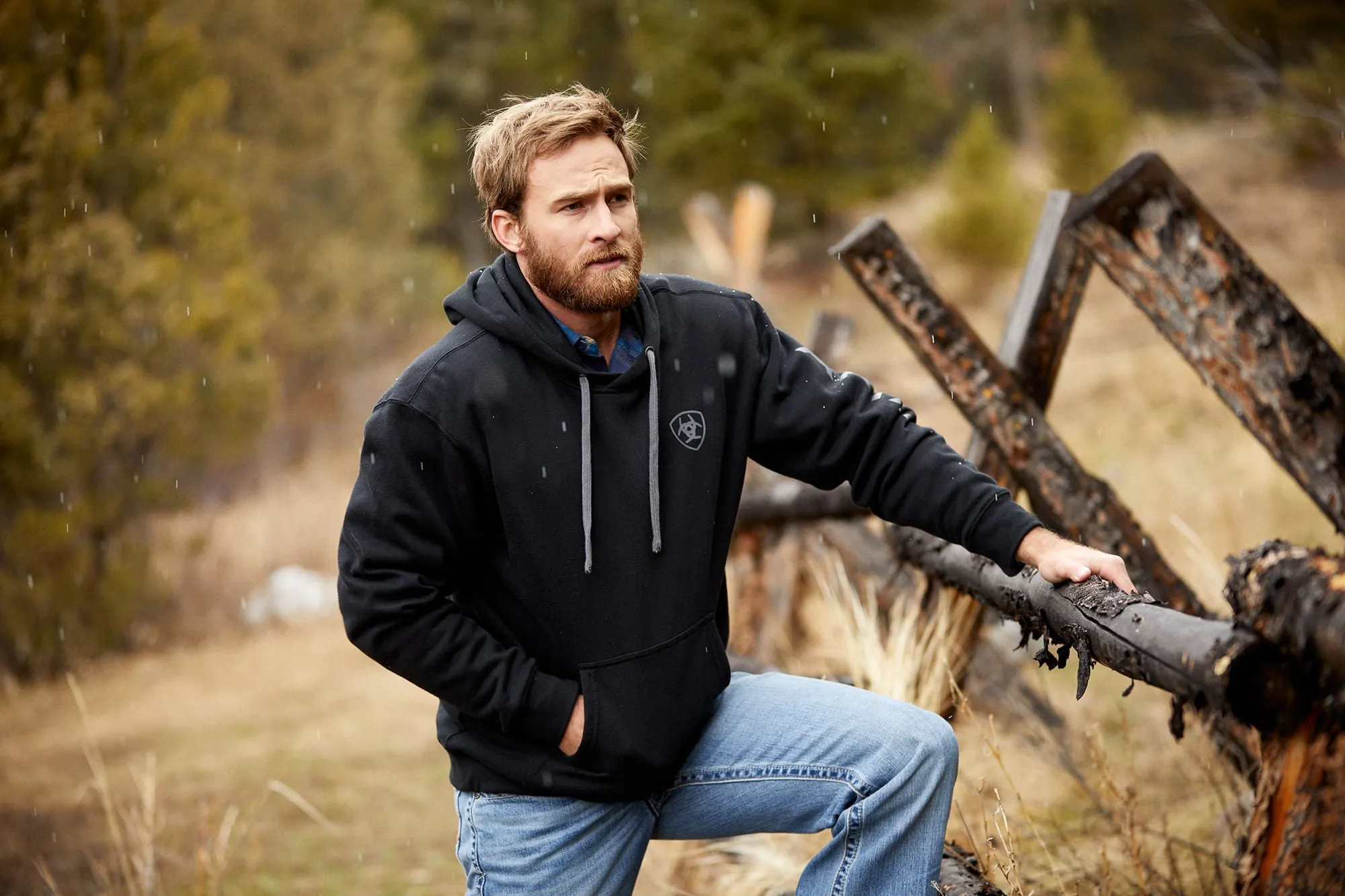 Ariat Mens Logo Hoodie